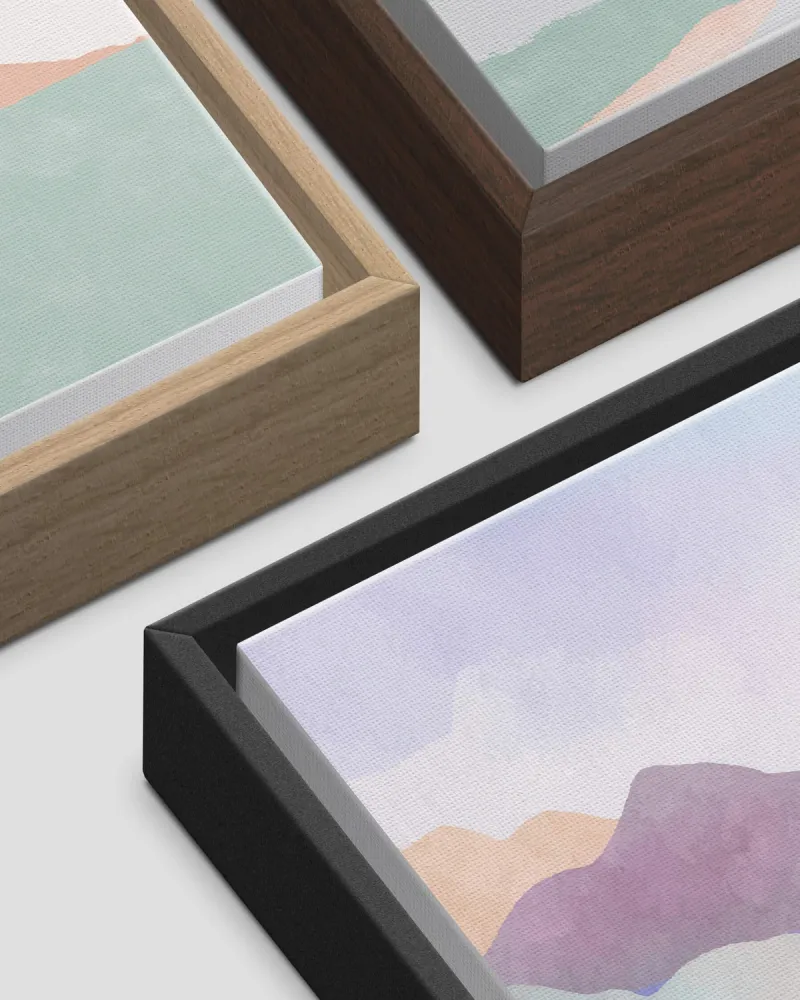 Framed Canvas Print