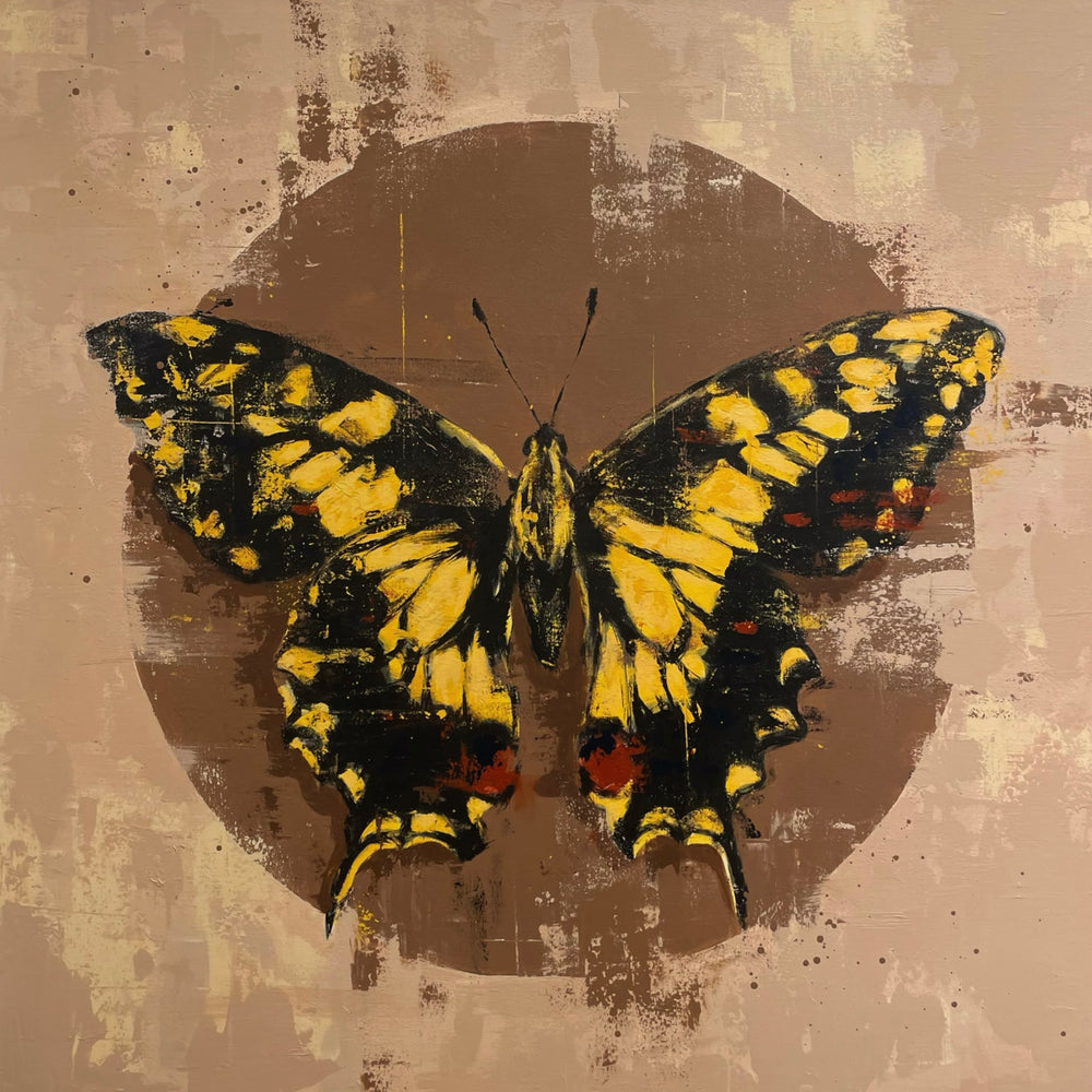 Papilio Machaon (80x80 cm)